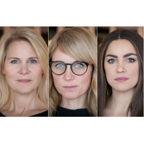 Sweden prohibits the purchase of sexual acts online  